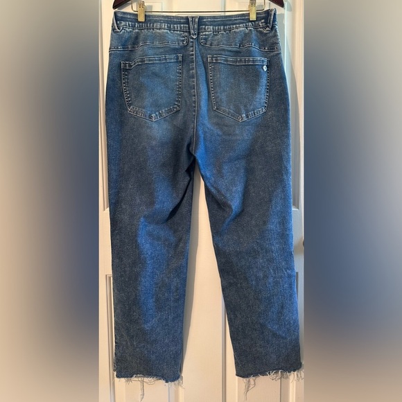 DEMOCRACY 12 “Ab"solution High Rise Round Up Boyfriend Jean Raw Hem SOLD OUT $88 - Picture 15 of 16